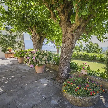 Campopineta * Incisa in Val d'Arno